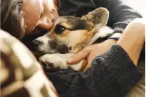 loving your dog too much