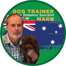Dog Trainer Hanoi